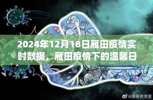 雁田疫情下的温馨日常,爱的守护与陪伴之旅(实时数据报告)