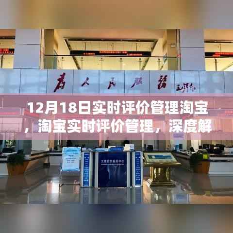 深度解析与探讨，淘宝实时评价管理系统的最新动态（12月18日）