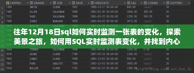 SQL实时监测表变化,探索美景之旅与内心宁静的发现之道