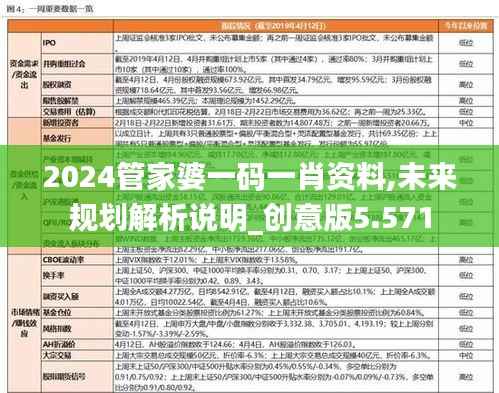 2024管家婆一码一肖资料,未来规划解析说明_创意版5.571