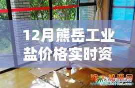 熊岳工业盐实时价格资讯,掌握最新市场动态,洞悉价格动态变化