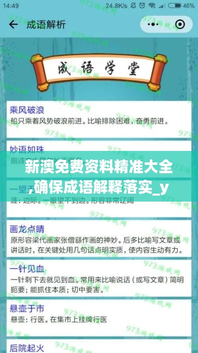 新澳免费资料精准大全,确保成语解释落实_yShop4.802