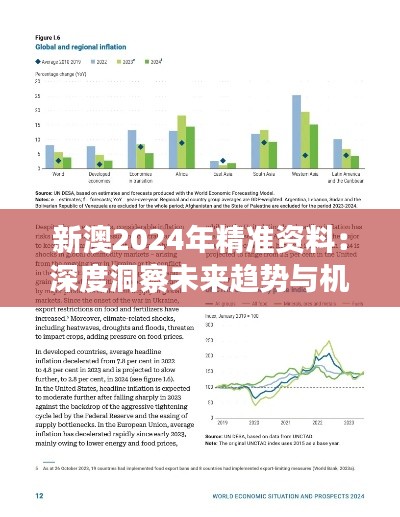 新澳2024年精准资料:深度洞察未来趋势与机遇