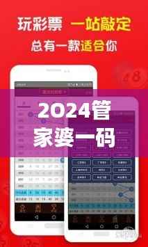 2O24管家婆一码一肖资料:全面解读一码多用模式