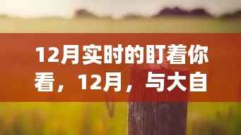 12月心灵之旅,深情凝视大自然,与自然的深情对话