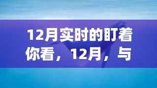 12月心灵之旅,深情凝视大自然,与自然的深情对话