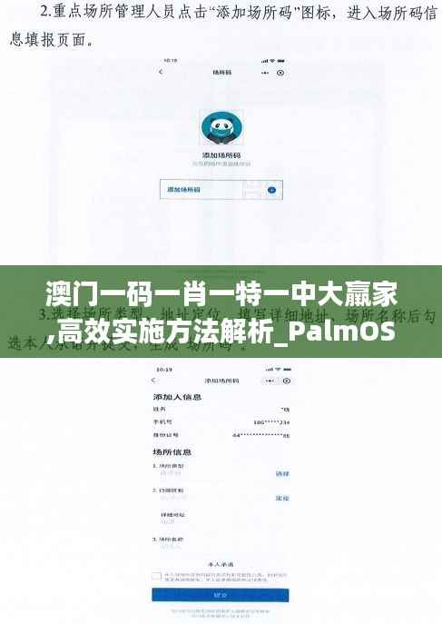 澳门一码一肖一特一中大羸家,高效实施方法解析_PalmOS12.710