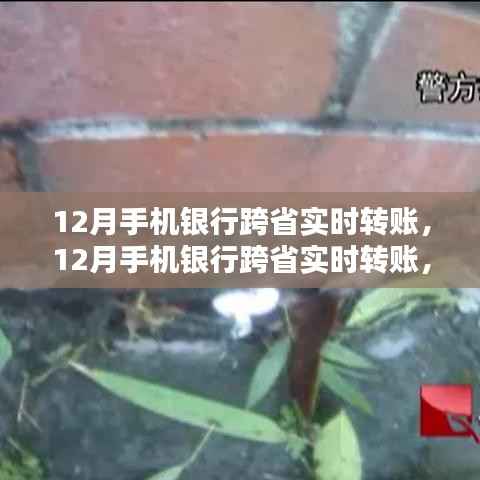 12月手机银行跨省实时转账,无缝连接,便捷金融新体验
