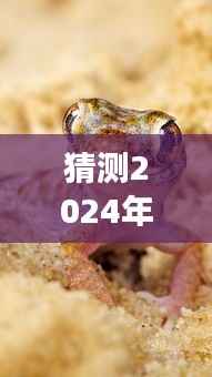 探秘自然秘境,小牛蛙心灵之旅与未来报价预测图片,探寻奇妙之旅的实时报价