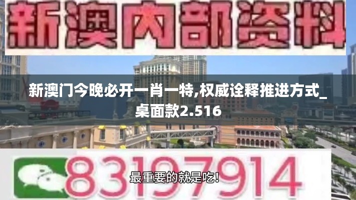 新澳门今晚必开一肖一特,权威诠释推进方式_桌面款2.516