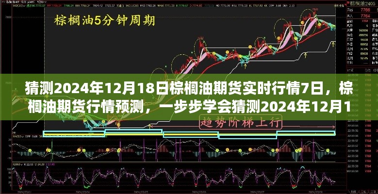 棕榈油期货行情预测,揭秘未来一周棕榈油期货走势(至2024年12月18日)