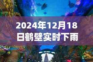 梦幻雨幕降临,鹤壁天气预报实时更新,鹤壁市于2024年12月18日下雨