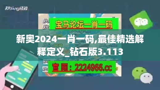 新奥2024一肖一码,最佳精选解释定义_钻石版3.113