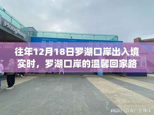罗湖口岸温馨回家路,友谊与陪伴的故事,历年12月1 8日出入境实时记录