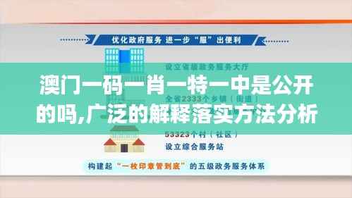 澳门一码一肖一特一中是公开的吗,广泛的解释落实方法分析_Phablet5.598