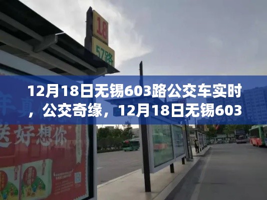 12月18日无锡603路公交车上的暖心奇缘时光