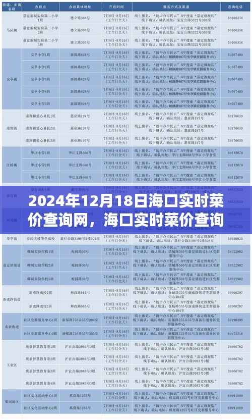 海口实时菜价查询网,最新菜价信息,轻松生活指南