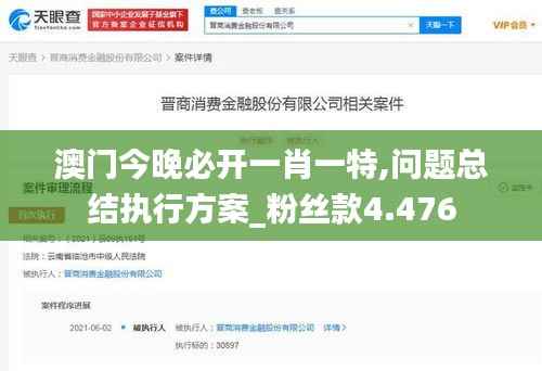 澳门今晚必开一肖一特,问题总结执行方案_粉丝款4.476