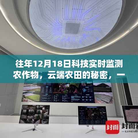云端农田的秘密，科技监测下的友情与农作物成长之旅