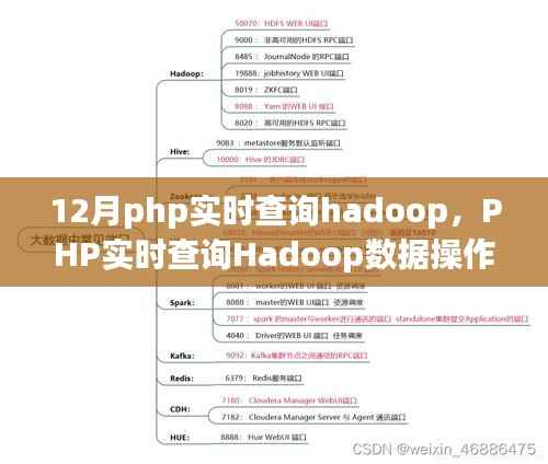 人前显贵 第5页
