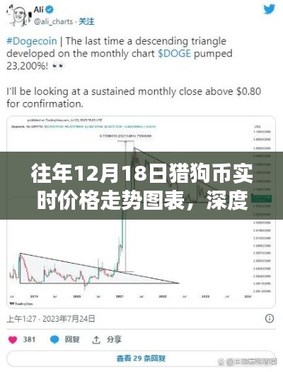 深度解析,往年12月18日猎狗币实时价格走势图表及其市场影响分析