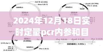 实时定量PCR内参与目的基因深度解析及评测报告