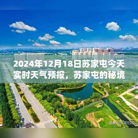 苏家屯秘境,心灵之旅与天气的奇妙交汇 - 2024年12月18日实时天气预报