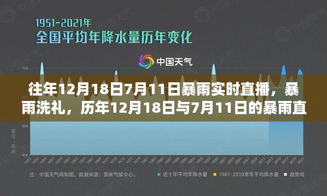 历年暴雨回顾与影响深究,12月18日与7月11日的暴雨洗礼直播实录分析
