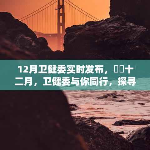 十二月卫健委与你同行,探寻自然美景中的心灵之旅实时发布