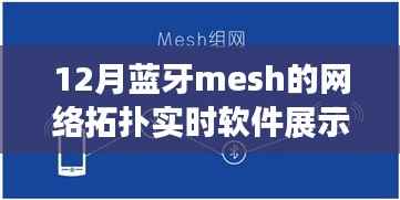探秘蓝牙Mesh网络魔法屋,实时软件展示盛宴,揭秘小巷深处的科技魅力