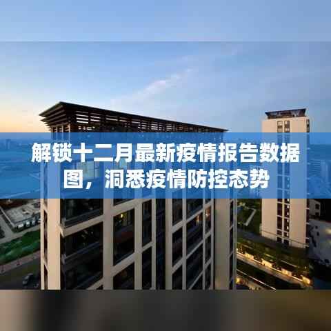 解锁十二月最新疫情报告数据图,洞悉疫情防控动态