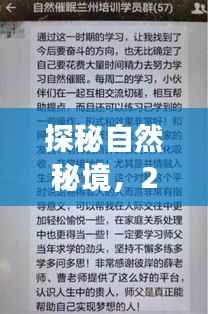 探秘自然秘境，启程寻找内心的宁静——实时归档指南（2024年12月18日）
