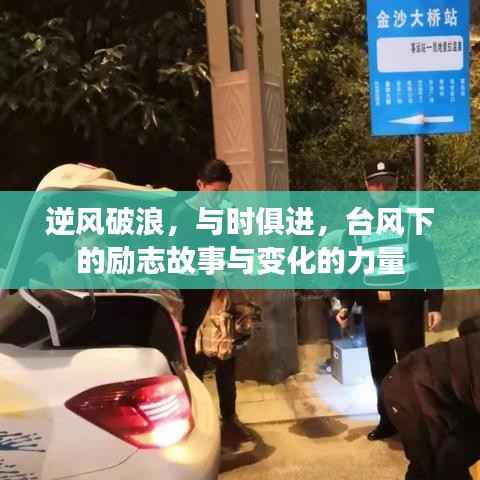 台风下的励志故事，破浪前行，时代变迁的力量