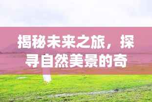 揭秘未来之旅，探寻自然美景的奇妙旅程，未知热询等你来揭晓！