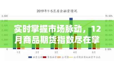 实时掌握市场脉动,期货投资人的必备指南——解读12月商品期货指数动态