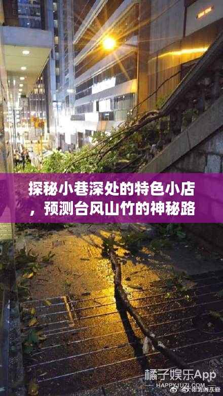 探秘小巷特色小店与台风山竹的神秘路径预测之旅