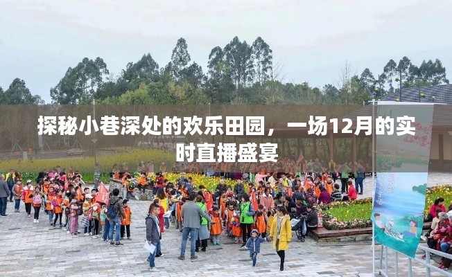 探秘小巷深处的欢乐田园,实时直播盛宴开启