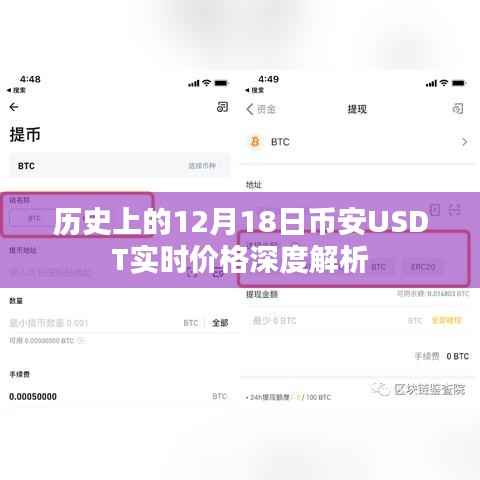 深度解析，历史上的十二月十八日币安USDT实时价格走势