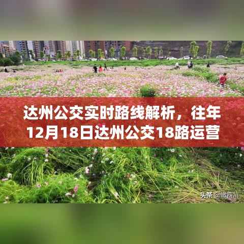 达州公交实时路线解析，达州公交18路运营纪实回顾