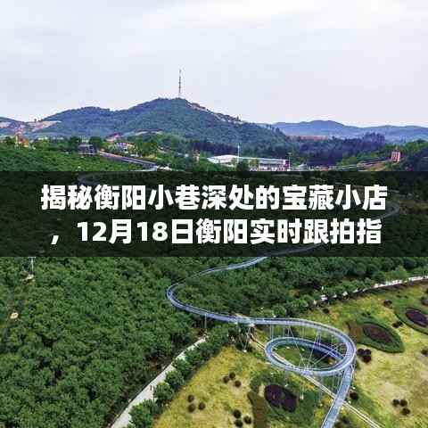 独家揭秘衡阳小巷深处的宝藏小店,实时跟拍指南(12月18日)