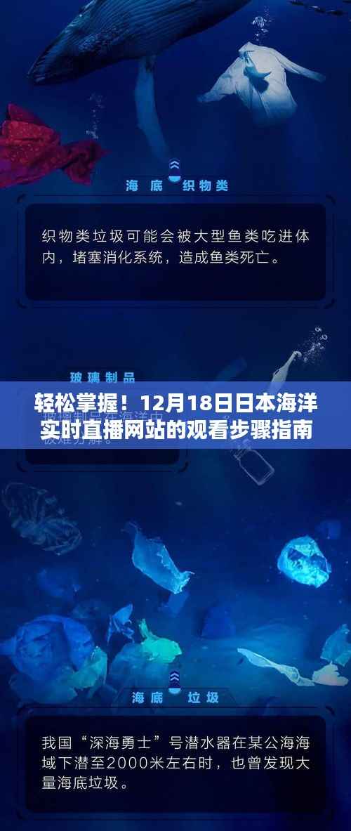 轻松掌握!日本海洋实时直播网站观看指南(初学者与进阶用户适用)