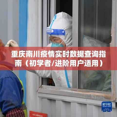 重庆南川疫情实时数据查询指南，适合初学者与进阶用户