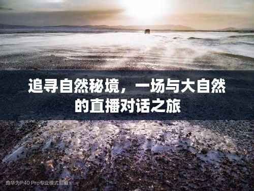追寻自然秘境，直播对话大自然的探索之旅