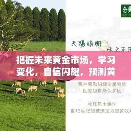 掌握黄金市场未来趋势,学习变革,自信展望黄金新纪元
