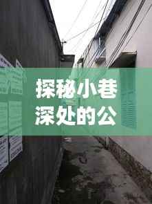 探秘公交实时查询宝藏店,奇妙之旅,2024年12月22日遇见的小巷深处