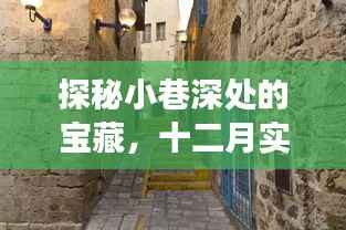 探秘十二月小巷深处的宝藏,净值特色小店之旅