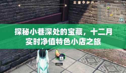 探秘十二月小巷深处的宝藏,净值特色小店之旅