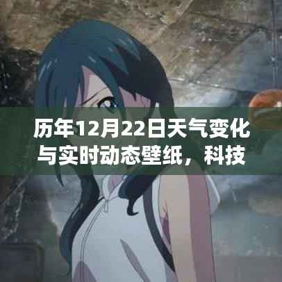 历年冬至天气变化与动态壁纸，科技与生活的融合之美