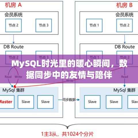 MySQL时光中的暖心瞬间，数据同步见证友情与陪伴