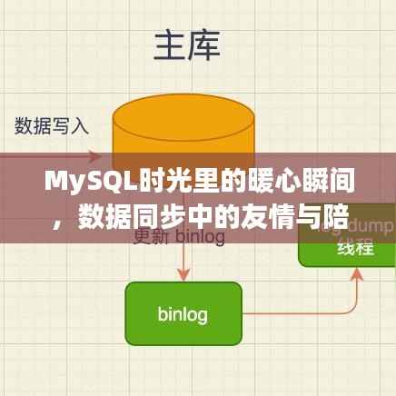 MySQL时光中的暖心瞬间,数据同步见证友情与陪伴